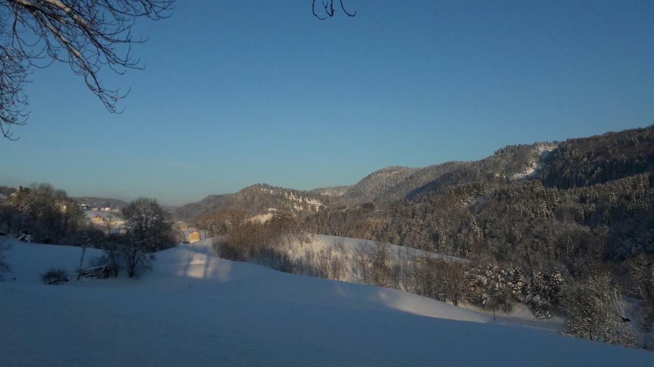 Au Coeur Du Lapidaire Septmoncel-Les-Molunes Экстерьер фото